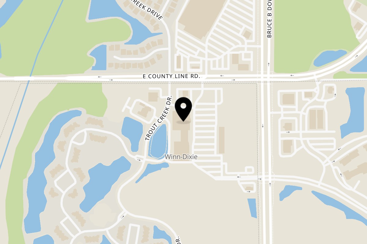 Map showing the location of Dipped Birria Tacos on 6411 E County Line Rd in Tampa